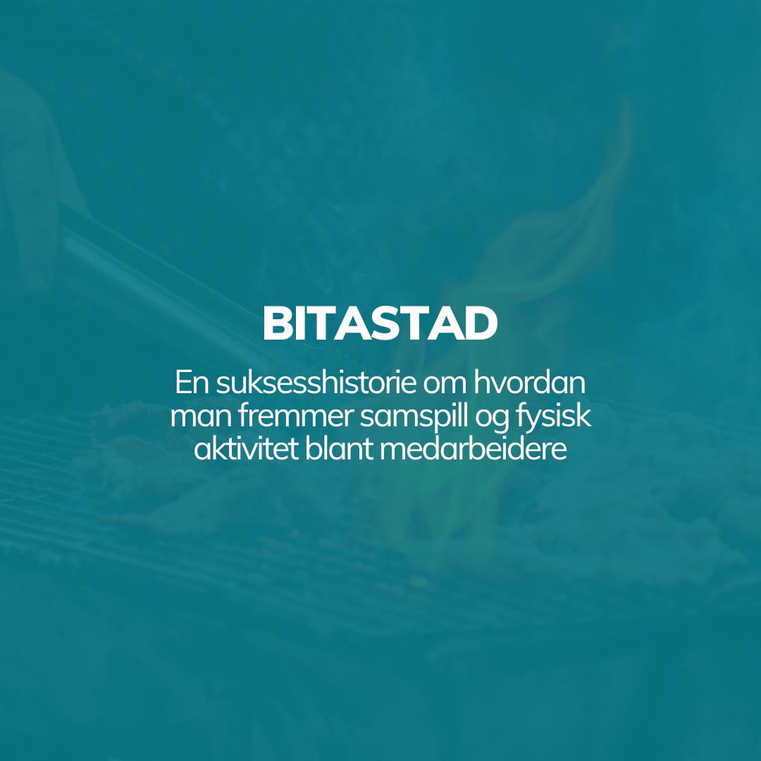 Bitastad - En suksesshistorie om hvordan å fremme samspill og